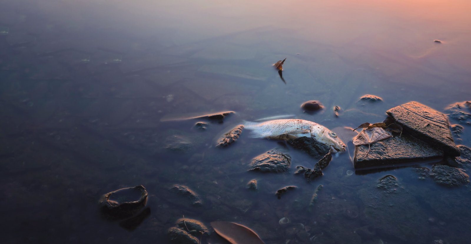 Plastic Garbage Floating on Water Surface Showing Environmental Pollution Problem in the Sea