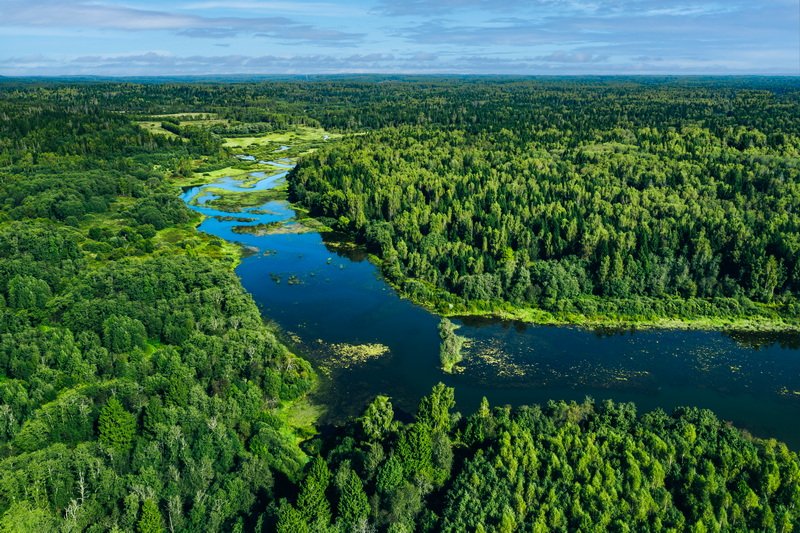 ZOVAE team members working on sustainable development initiatives with local residents