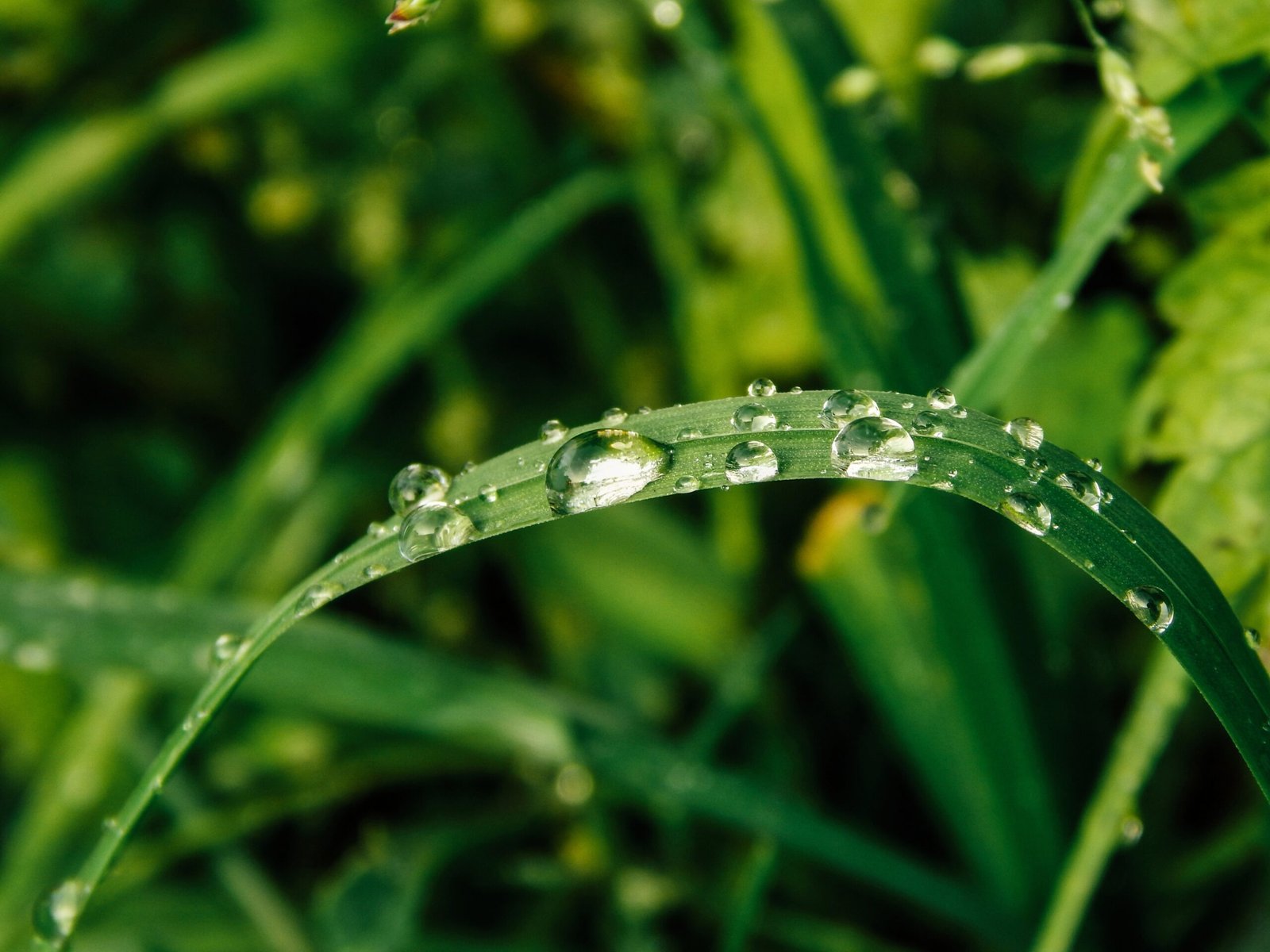 Sustainability Impact