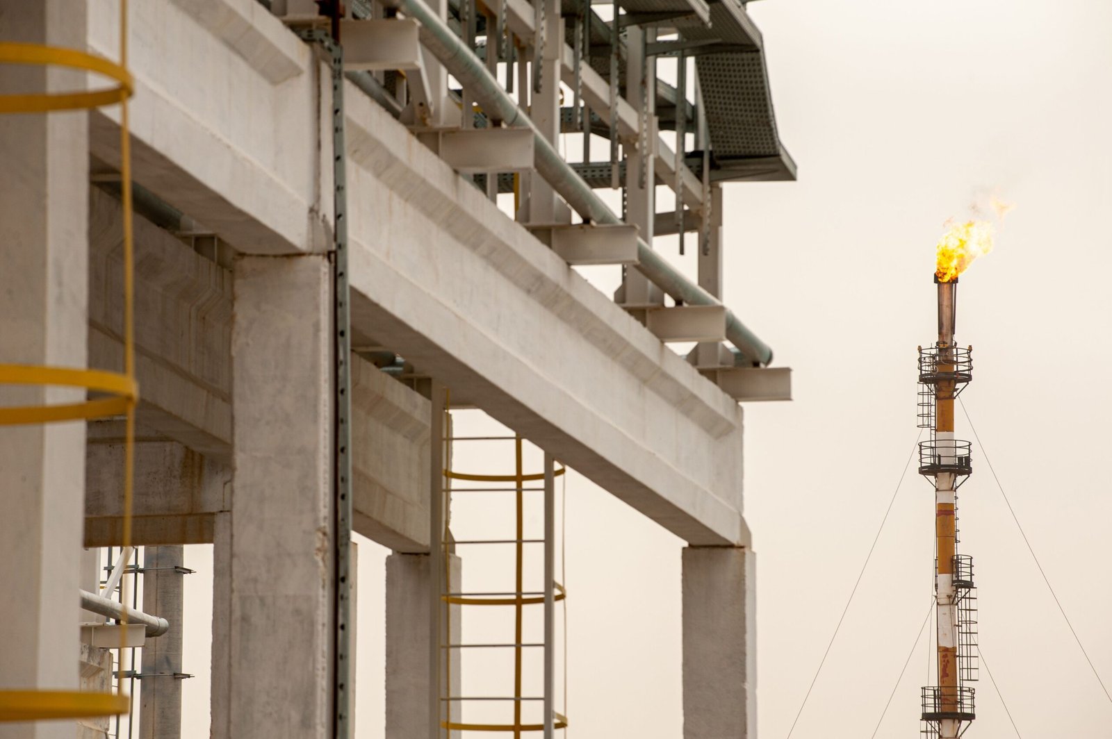 High Performance Results